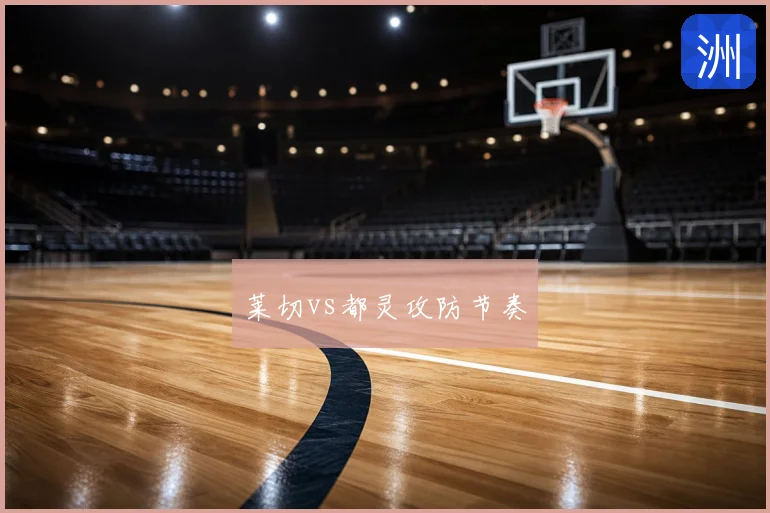 莱切vs都灵攻防节奏