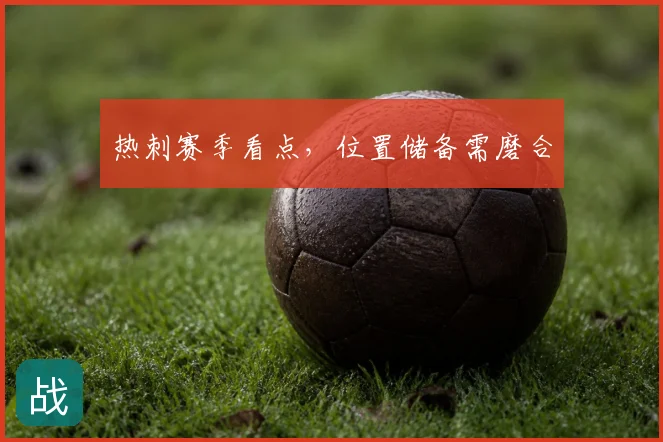 热刺赛季看点，位置储备需磨合